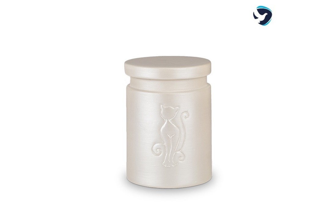 Biologische Dieren Urn Kat Wit