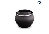 Kleine Zwarte Urn