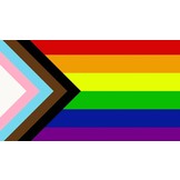 Regenboog Progress Vlag LGBT