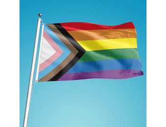 Regenboog Progress Vlag LGBT