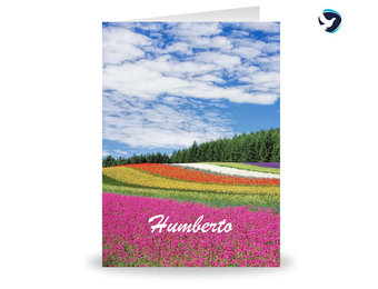 Rouwkaart Bloemenveld