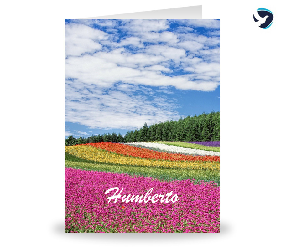 Rouwkaart Bloemenveld