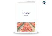 Rouwkaart Tulpen Balk