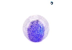 Donkerblauwe Urn Transparant