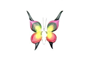 Vlinder Groot Rose Zwart