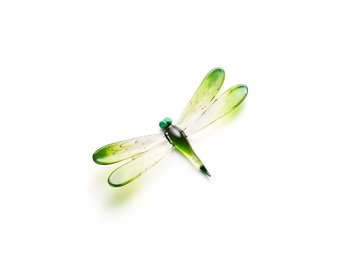 Memory Libellen Groen