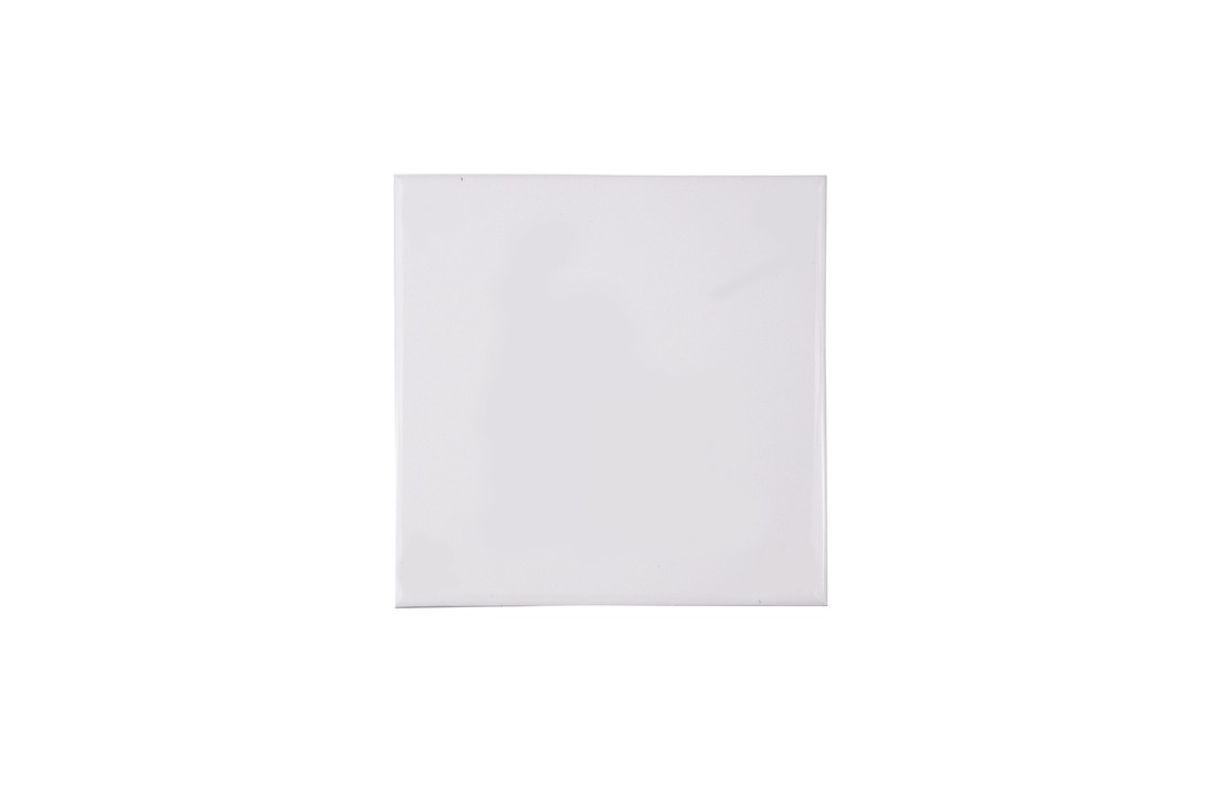 Delfts Blauw Tegel Blanco