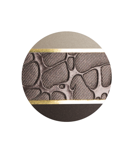 Biologische Urn Rakenne