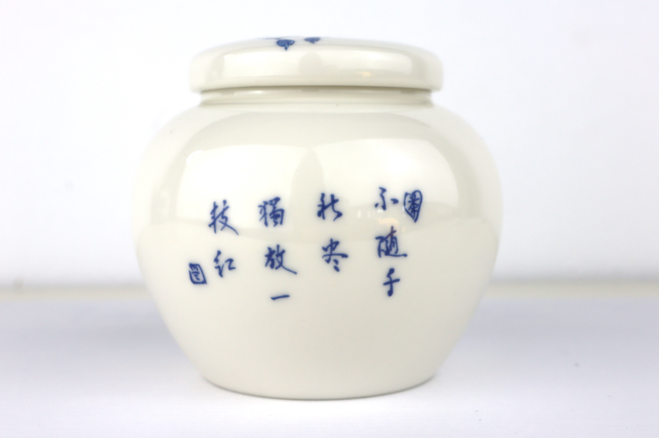 Keramische Urn Oosters