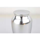 Goedkope Mini Urn Zilver