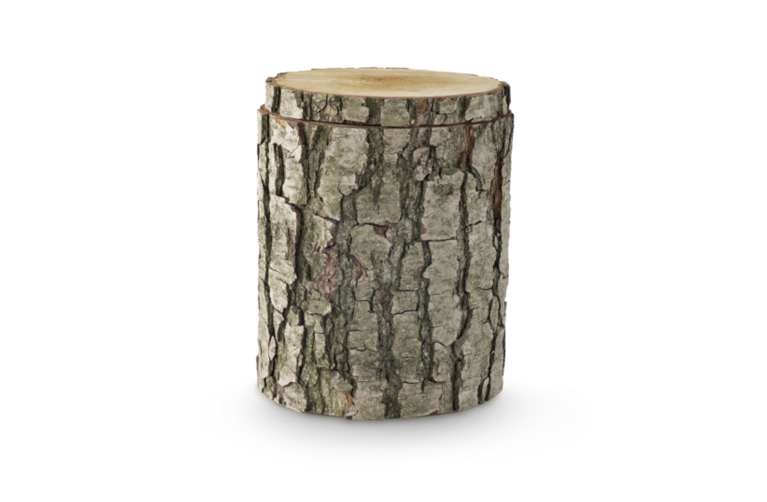 Urn boom Zwarte Els