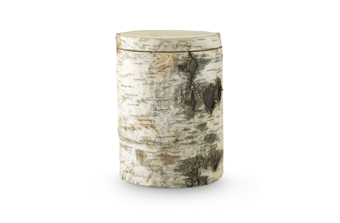 Urn boom Zwarte Els