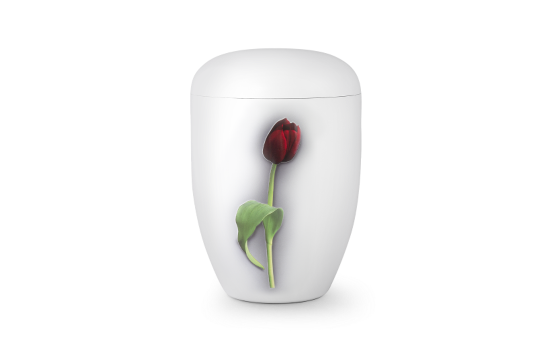 Biologische Urn Rode Tulp