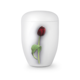 Biologische Urn Rode Tulp