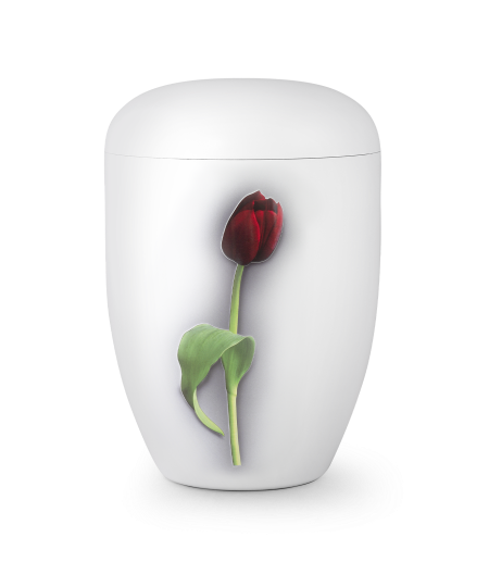 Biologische Urn Rode Tulp