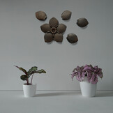 Urn / Asbeeld Losse blaadjes voor Vergeet ons niet - Patina