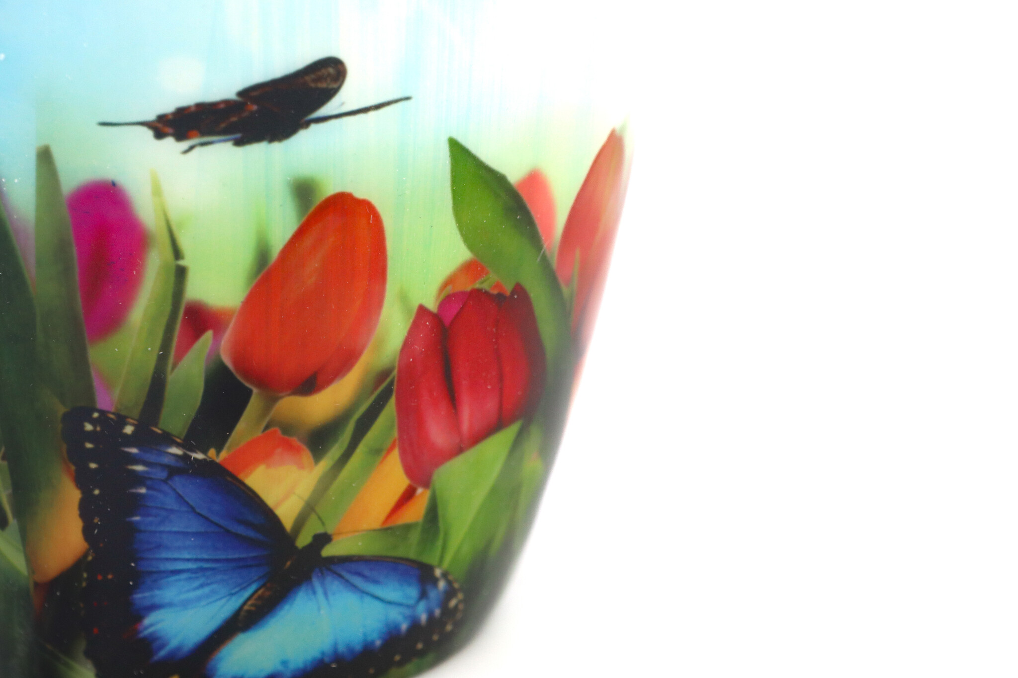 Vlinder sky urn - groot