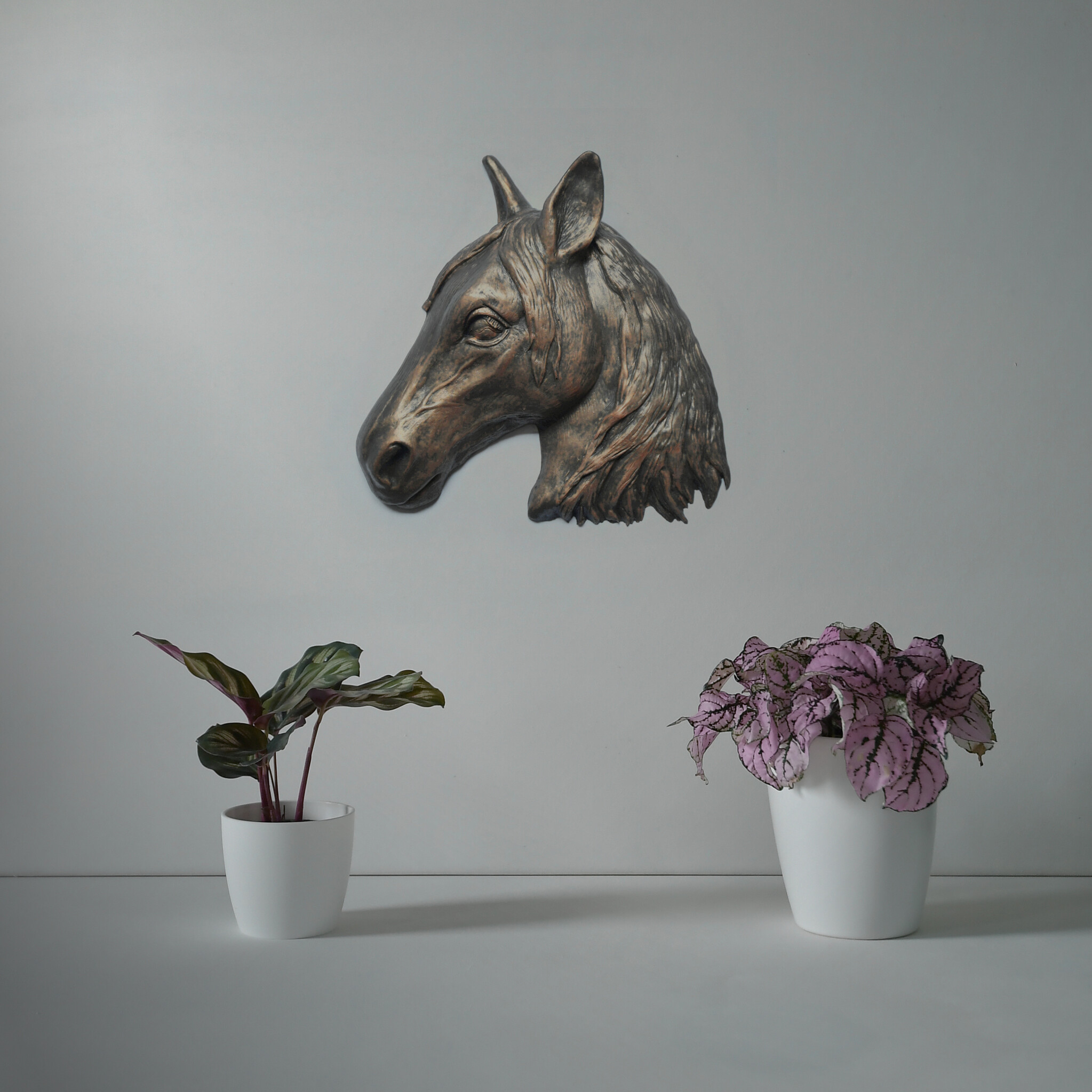 Paardenhoofd - Asbeeld - Brons