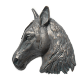 Paardenhoofd - Asbeeld - Patina