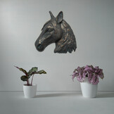 Paardenhoofd - Asbeeld - Patina