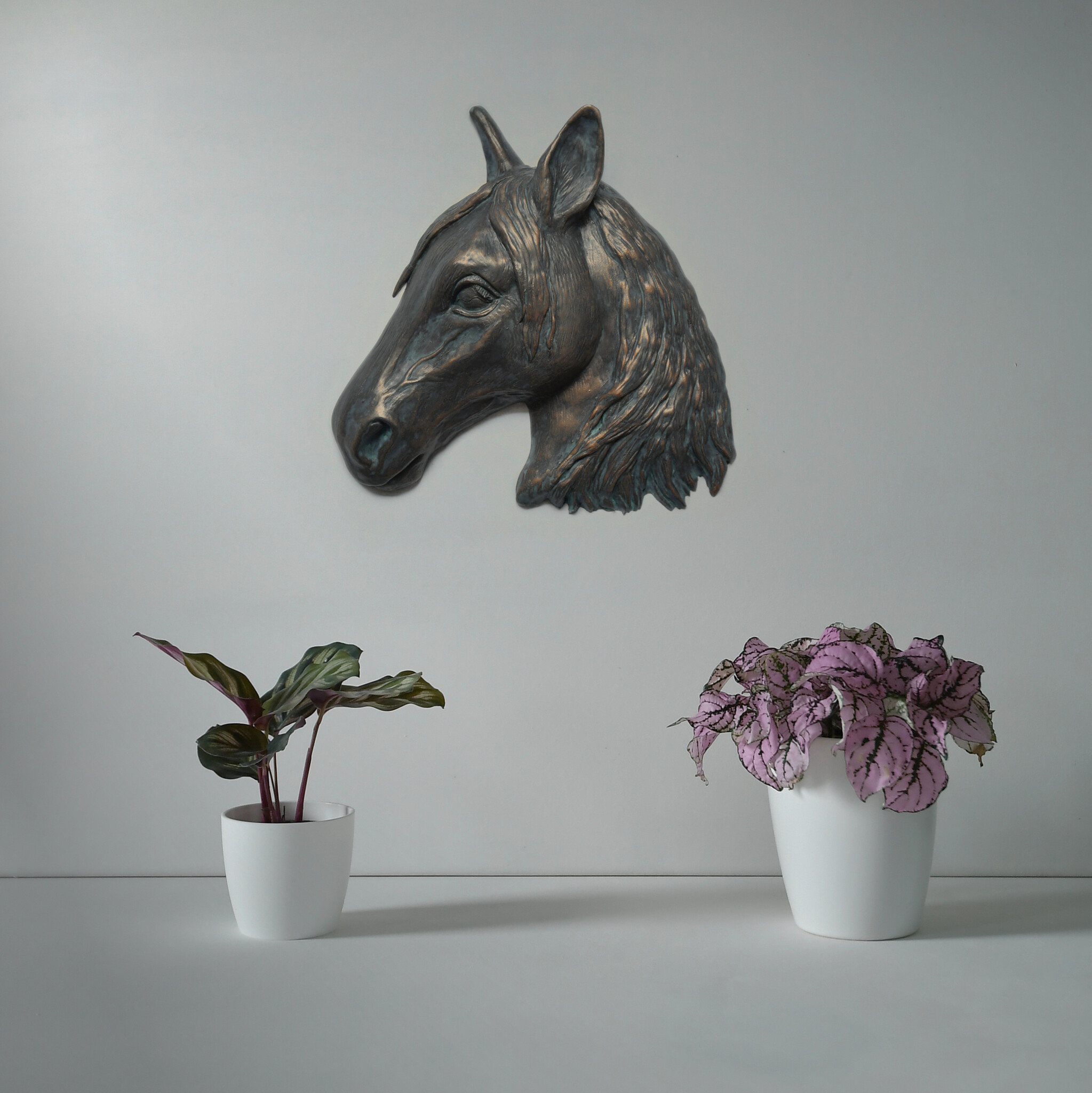 Paardenhoofd - Asbeeld - Patina