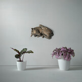 Pegasus asbeeld - Brons