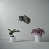 Pegasus asbeeld - Patina