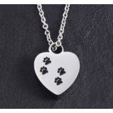 Ashanger Hond Pootjes