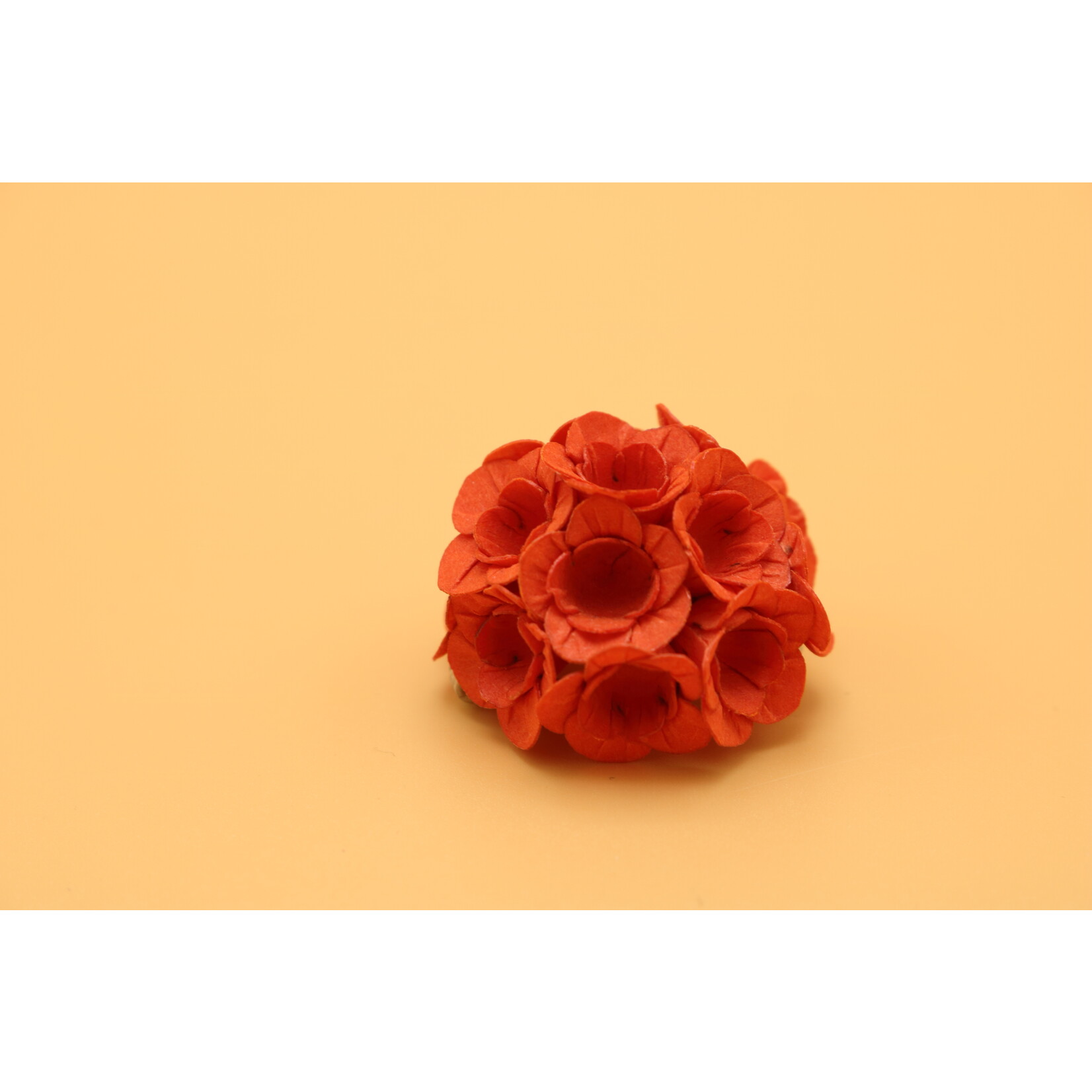 Ayuko Hishikawa Ayuko Hishikawa Fuji Brooch