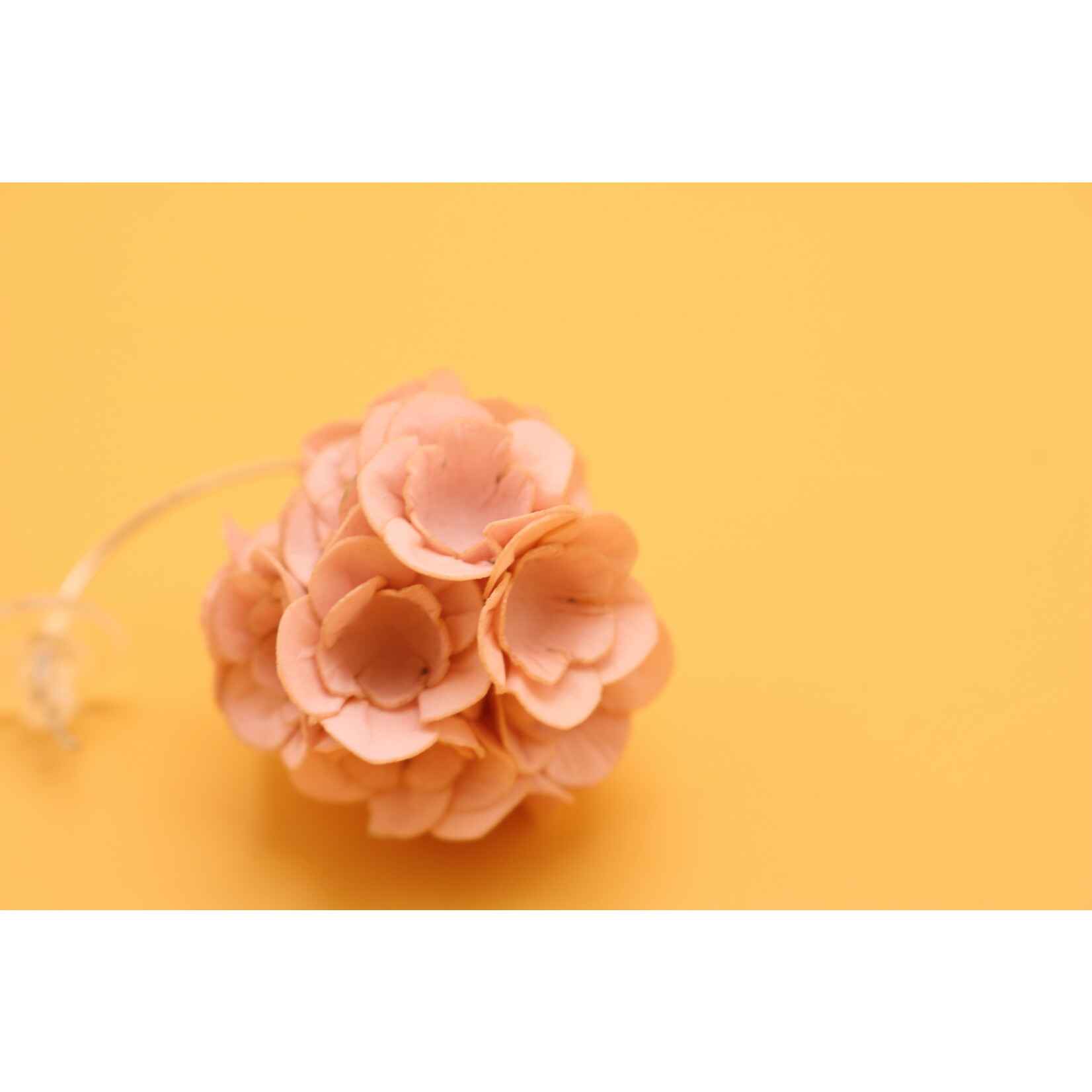 Ayuko Hishikawa Fuji S Hook earring