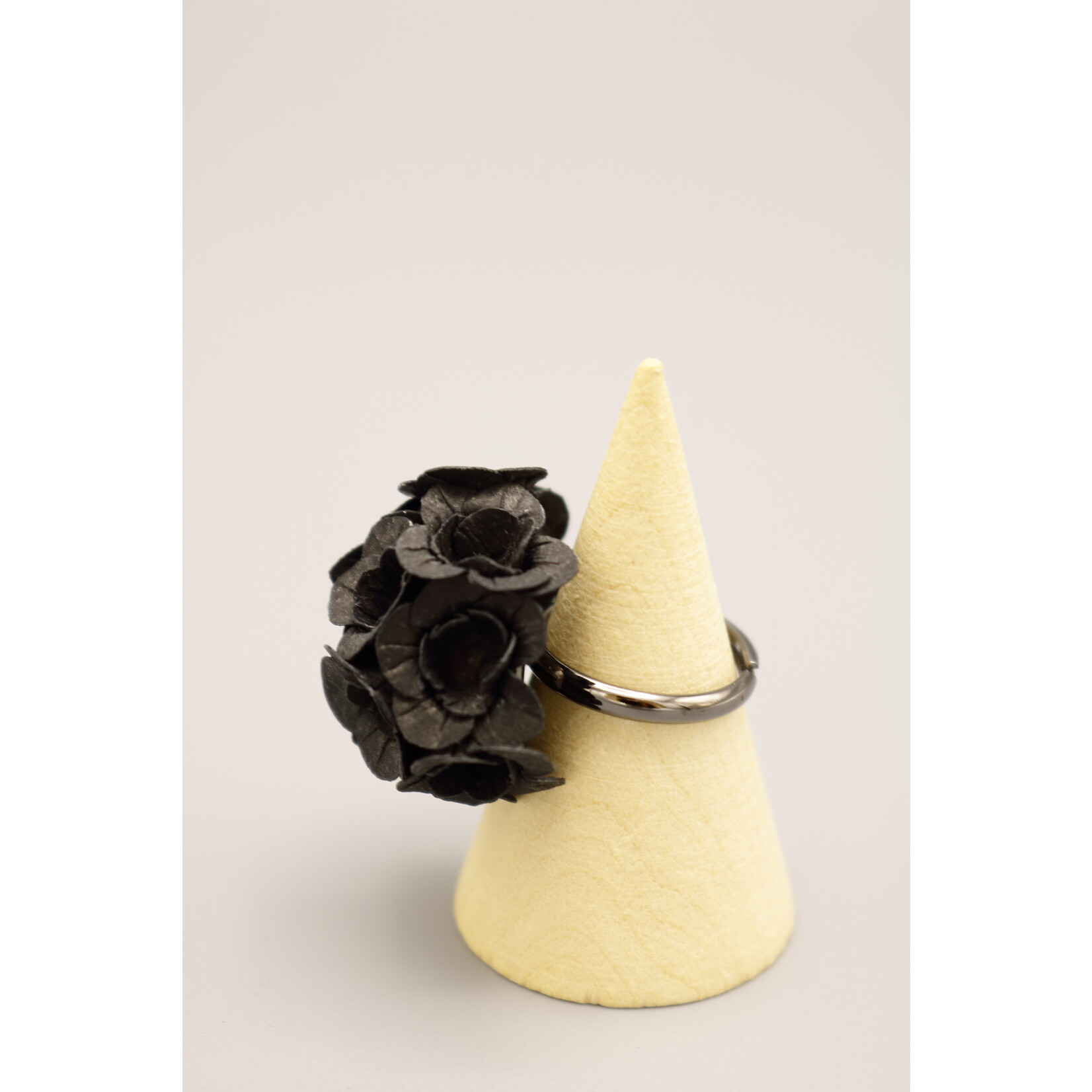 Ayuko Hishikawa Fuji Ring
