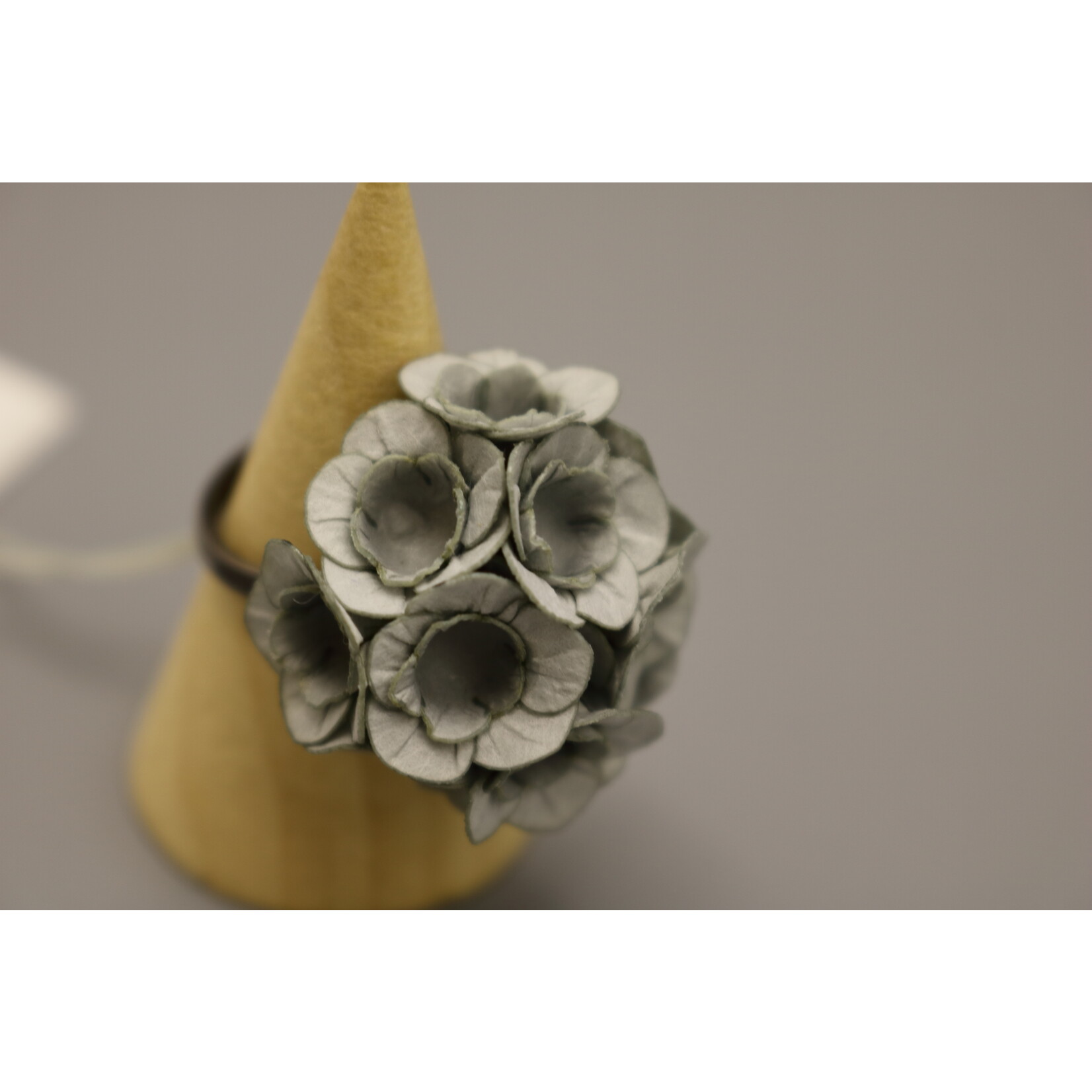 Ayuko Hishikawa Fuji Ring