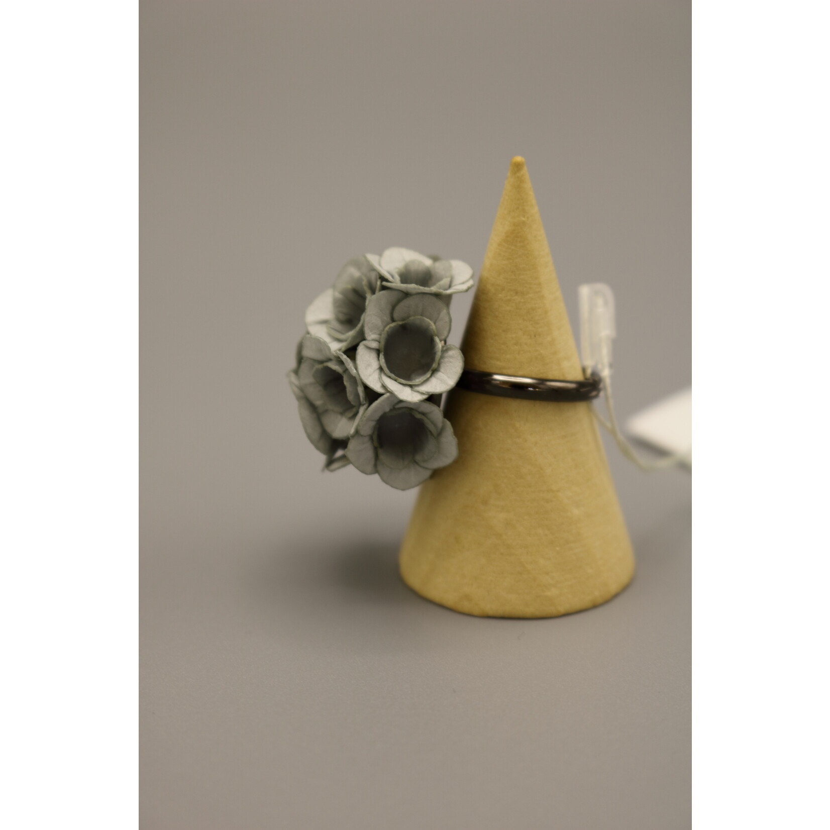 Ayuko Hishikawa Fuji Ring