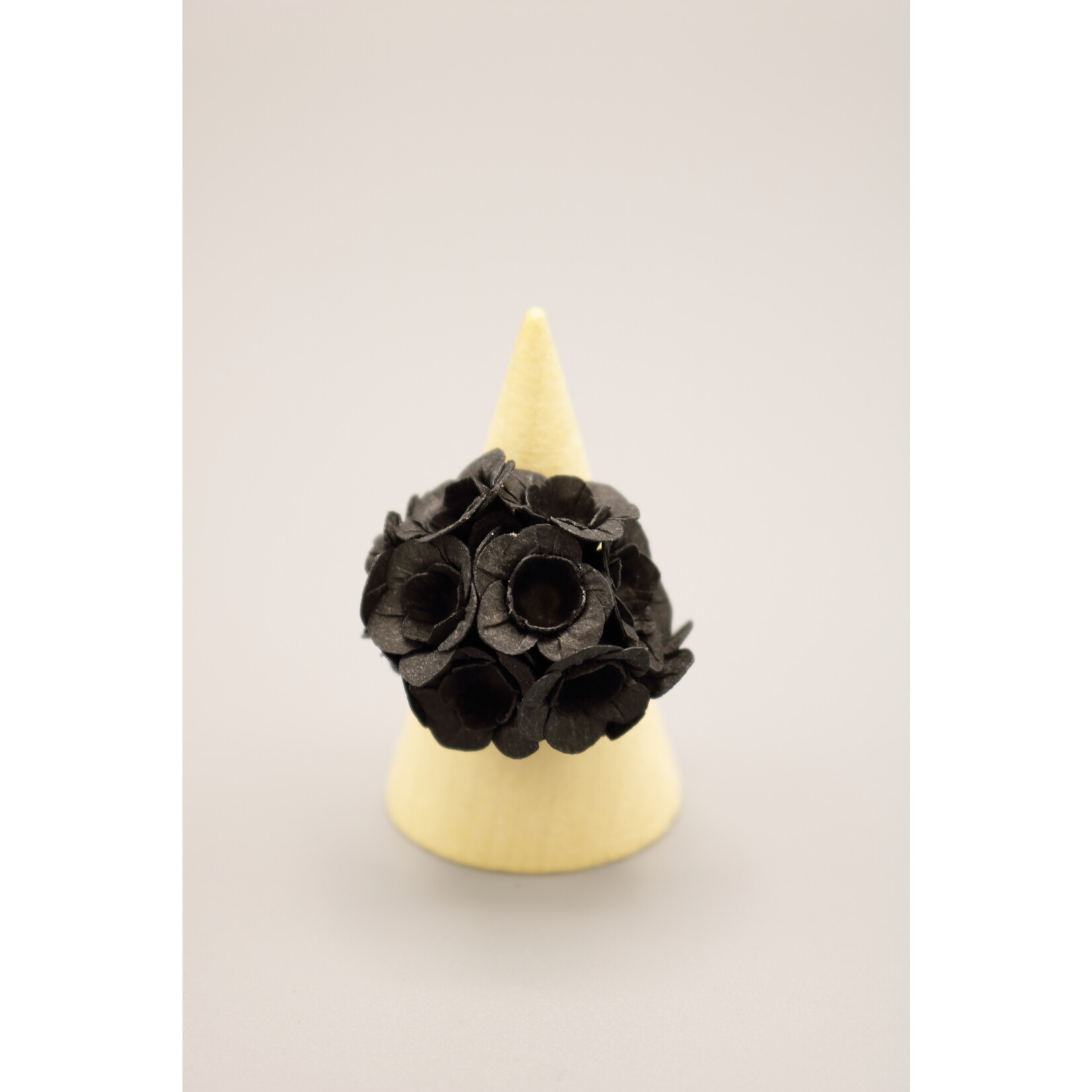 Ayuko Hishikawa Fuji Ring