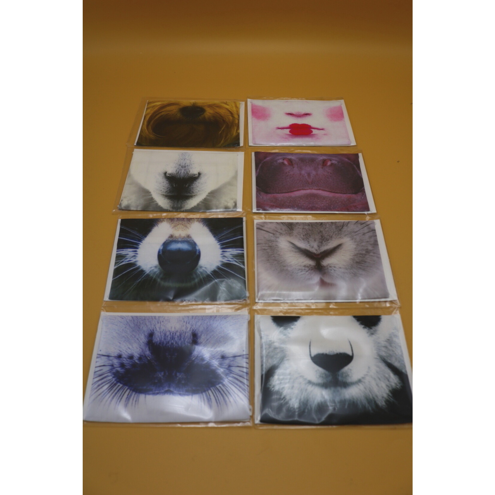 Samira Boon Samira Boon - Dieren Mondkap ( Mix )