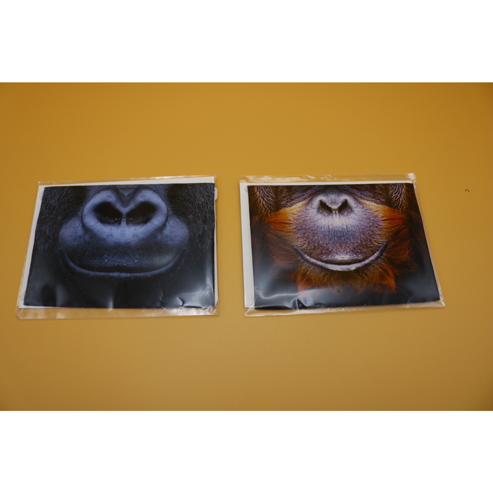 Samira Boon Samira Boon - Dieren Mondkap ( Primaten )