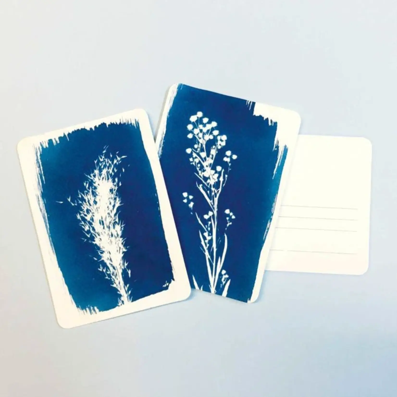 Cyanotype kit postcard