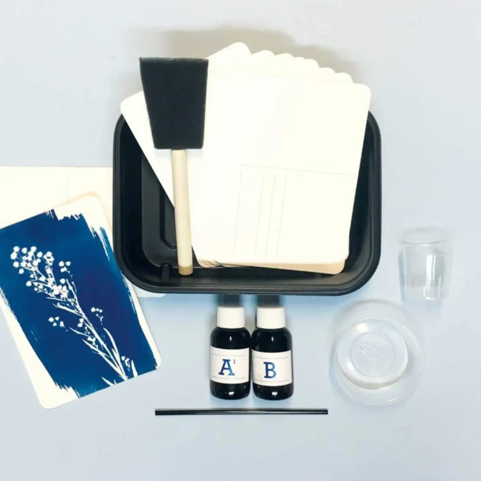 Cyanotype kit postcard