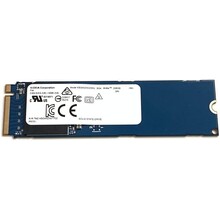 Kioxia 256GB NVMe BG4