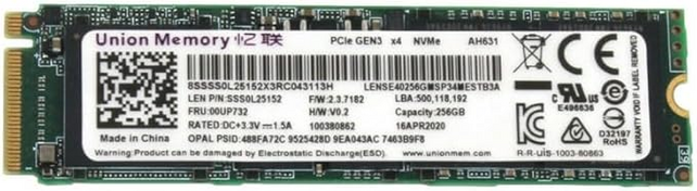 Union Memory  256GB SSD NVMe AM6672