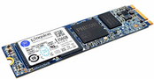 Kingston 256GB SSD  R8U-SNS8180S3/256GJ