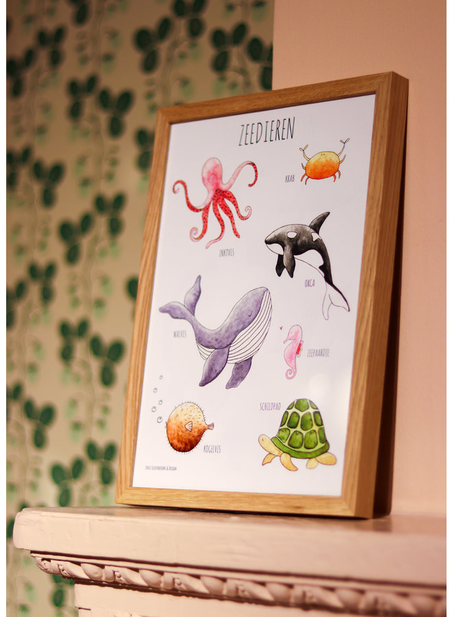 Poster - Zeedieren (21 x 30)