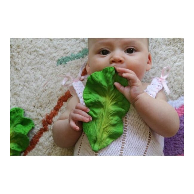 Oli & Carol Bijt- en badspeeltje - Kendall the Kale