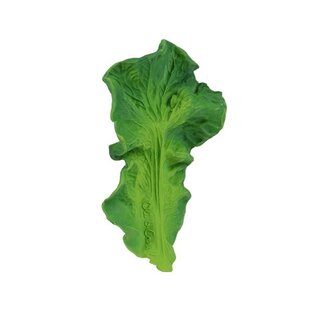 Oli & Carol Bijt- en badspeeltje - Kendall the Kale