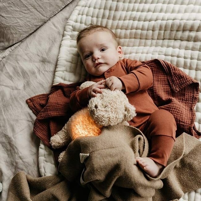 Moonie Moonie the humming bear sand