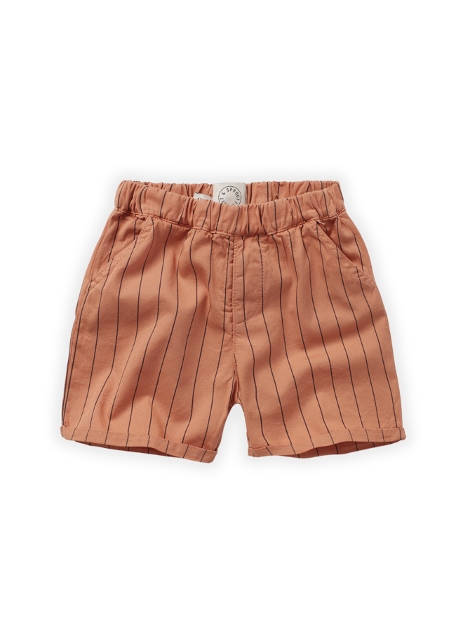 Woven shorts stripe print