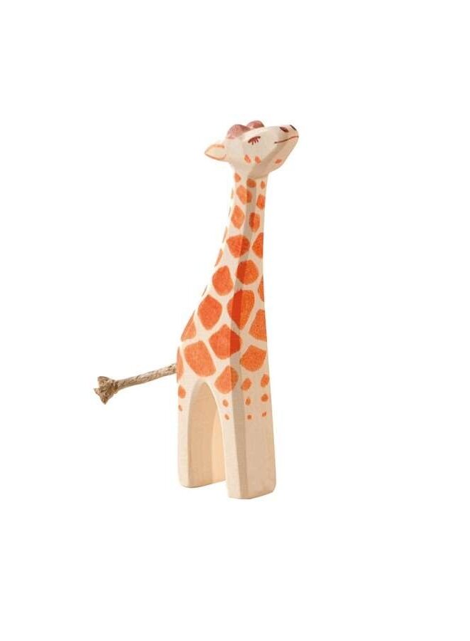 Giraffe klein kop hoog