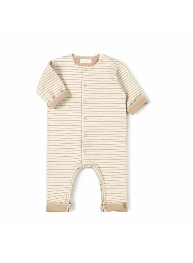 Born Onesie Dust stripe