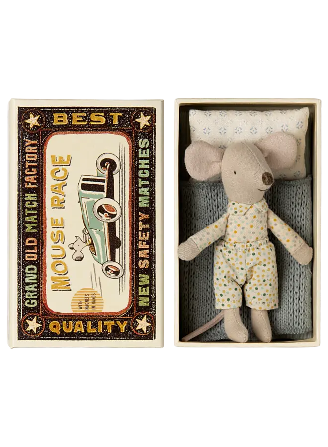 Little brother mouse in matchbox