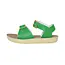 Salt Water Sandals Surfer Kelly Green
